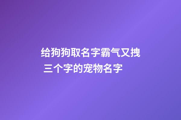 给狗狗取名字霸气又拽 三个字的宠物名字